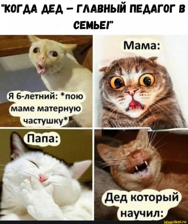 2f9d6126119b8580e1c6d6d2a6ed684cb5d25e9dd835d6ec29f79289204eb1fc_1.jpg.jpg