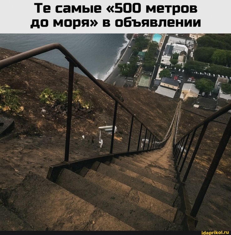 310f6224f50a611251cb34176e4e669feb5cdc6e7a81c1c14986aab8af3b3f5a_1.jpg.jpg