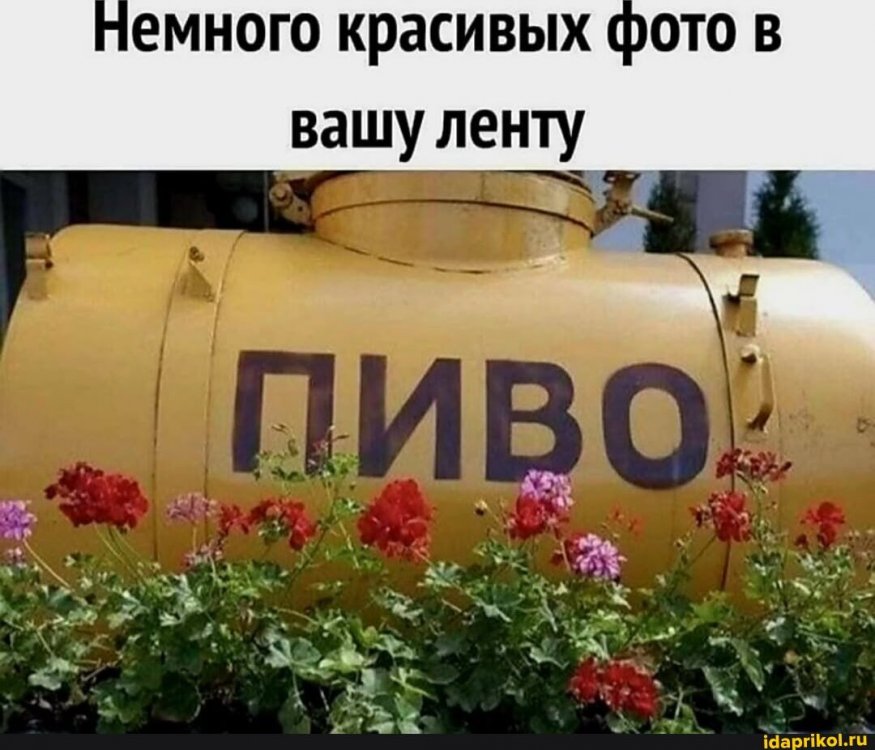 3eee320932284ee7d47f6ee8b2f2945f298e51eb607d8e1419e62237af764796_1.jpg.jpg