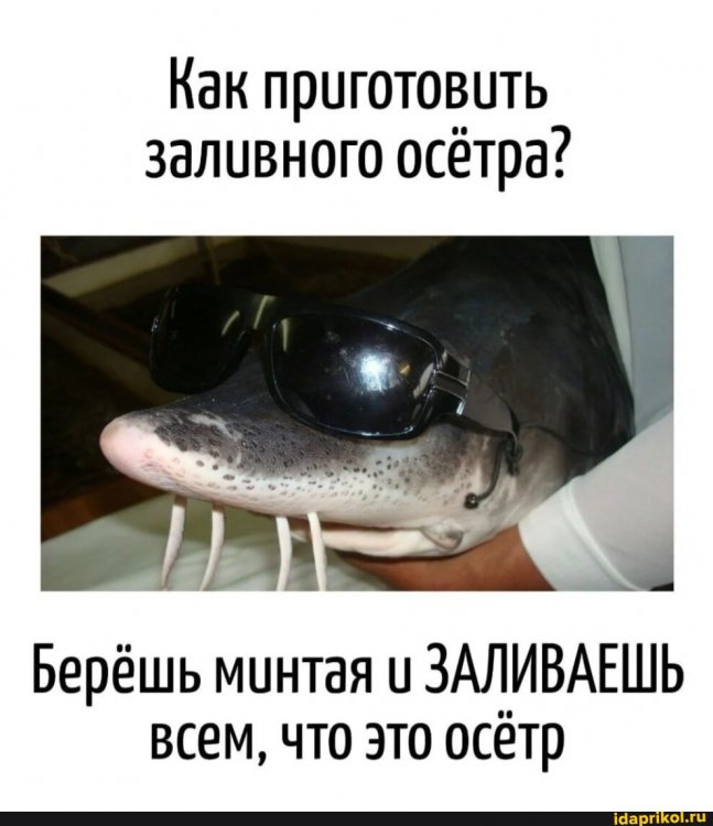 5de48e46f359c6644e018845e7bb6164b4a3d6738d12230edbd8d380a7819172_1.jpg.jpg