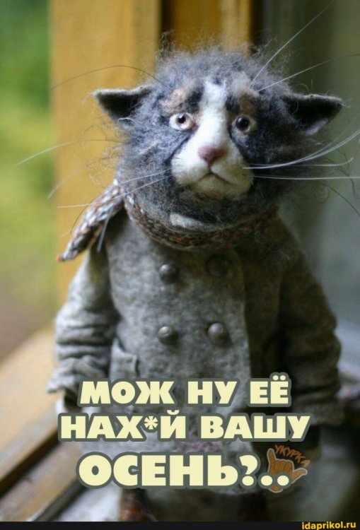 6eb2c00cda7c9dd5bab141c14f7d5d16700cadb1b4cc1f5905c95a61486d9017_1.jpg.jpg