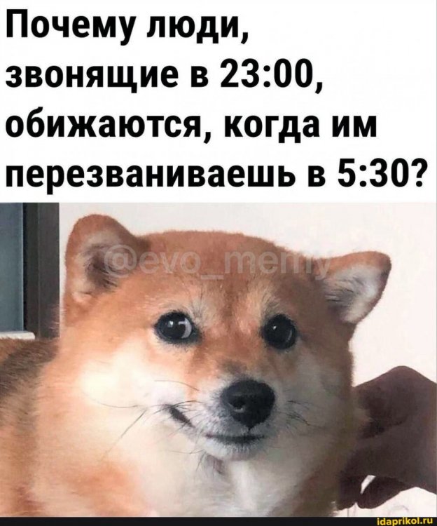 8bc3549ae8e4c7386f8ff4d364dd6993cc237e438e8e4d0d72039a9106c16392_1.jpg.jpg