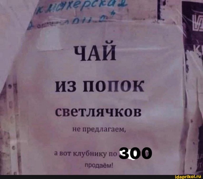c9586c31b60d51245617fee103058b3c575418f93edc89c71a90c1a5773b14b5_1.jpg.jpg