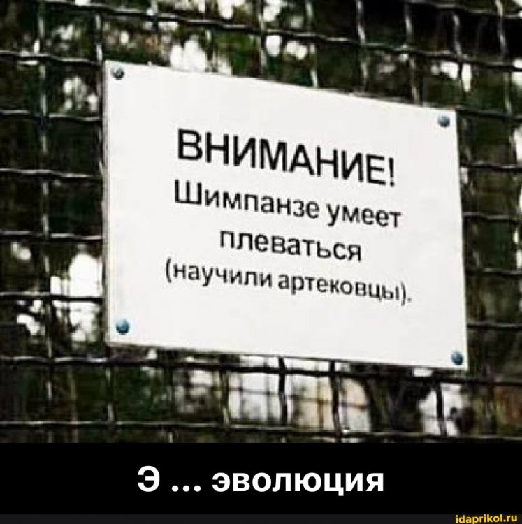 dcd05a2cf0f552491e2978068af92acc6edbd6c76ebe3e1d4aa728274cc6c98b_1.jpg.jpg