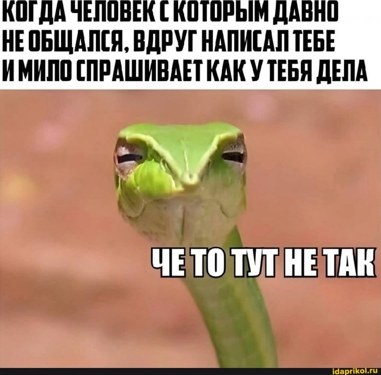 0e5d0525fd39a74db10609c2623e005975378d15130f2ae3fc18db1d632b071a_1.jpg.jpg