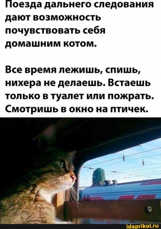 2ec1b39629cf05418493046b216ba56216dc4a511b903cd6c51d2f2f941b7f91_1.jpg.jpg