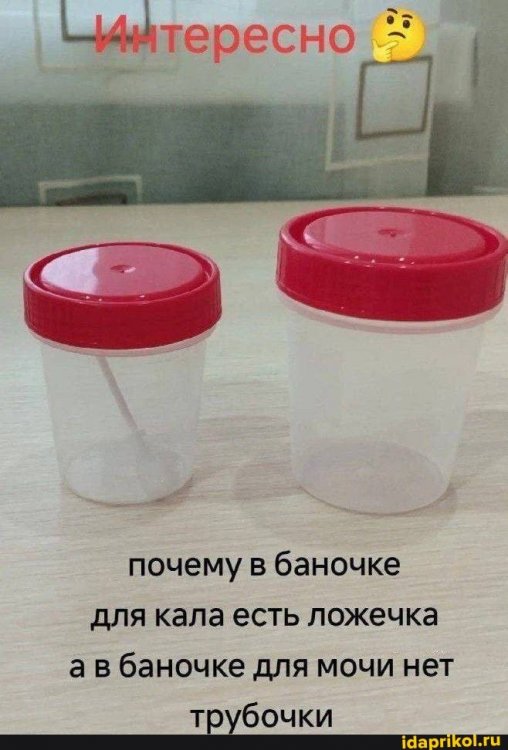 40f88e3f52e2ccd2e8e41734ffa99ecf2d611257a4cf676efb47a823b0d6733b_1.jpg.jpg