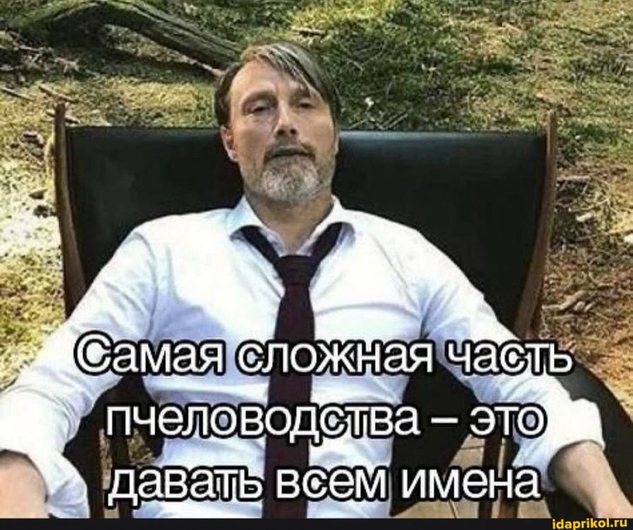 6fffa0183f517bcf072a3dd5703ea67ba2d71b2ae107b2d7972b9be39c267f26_1.jpg.jpg