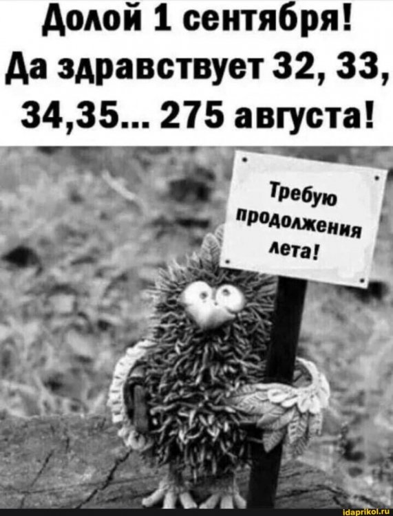 adc8aa51e667f26e563450fd31340b95db3e77cd135f5ea71f9bf47e57544b8f_1.jpg.jpg