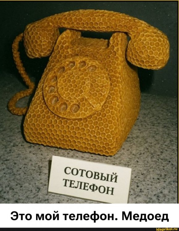 b0b69ffec3b26726187f0cdc35b4c82118b375d489fb2b2d41199bc152f2b754_1.jpg.jpg