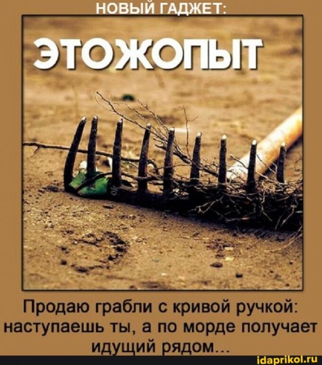 c3a67150db2c299bf850f196f13f0defba159f5ca10e5fe53deef327cc9a481c_1.jpg.jpg
