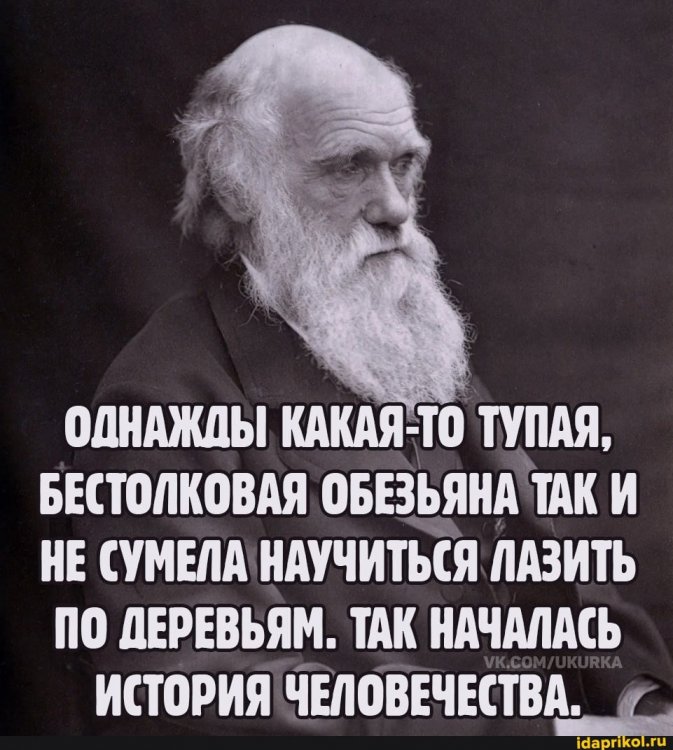 cdd38f258e05c2ab35bc878c91af1c9f60d1a83232446c792ecf3991082829c0_1.jpg.jpg