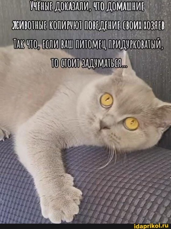ff73e0e03602d46111f1739772b0512e6e2be3a587b4dd17003672e9acbeee6c_1.jpg.jpg