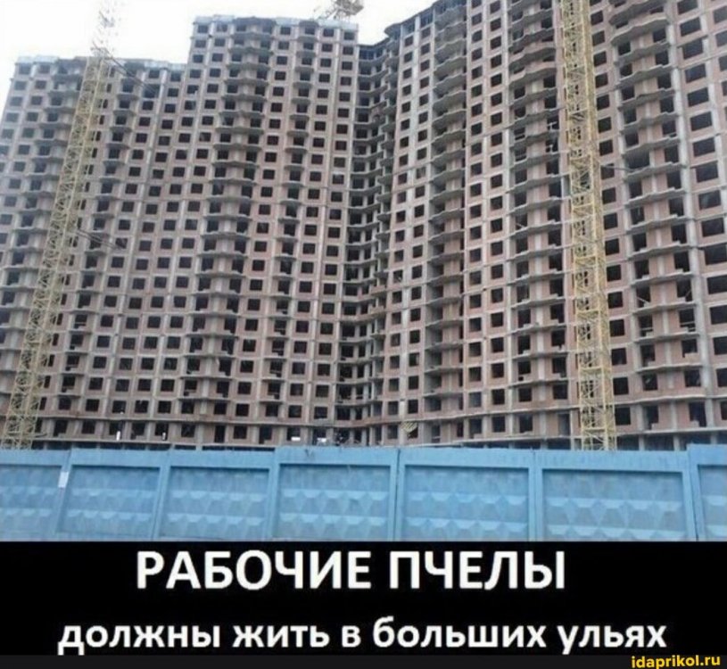 001b407fe6fb8459c6581811975bfe5a891ac87528fd2677862e770eb5fd470b_1.jpg.jpg