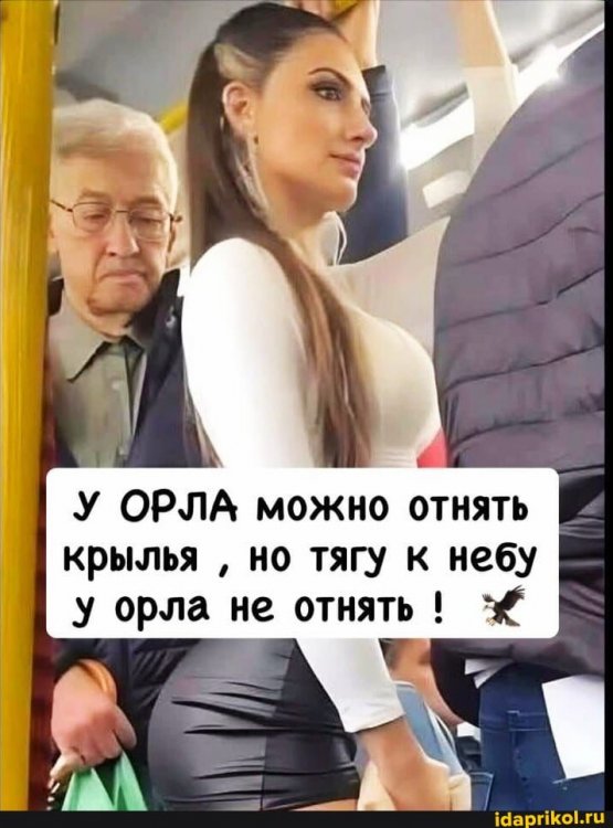 03b7db85ae7535af734566c5aa833e5e2a1235b512ab3985cec9c61ec233fb9c_1.jpg.jpg