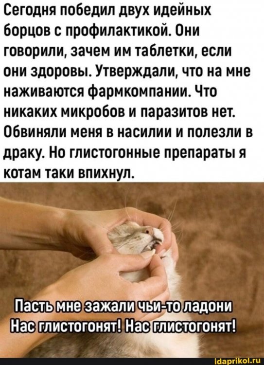 11bbf8426fdc23ff9872e5380ea9fe24203ddc6c80d7db66c03c05ee5e165443_1.jpg.jpg