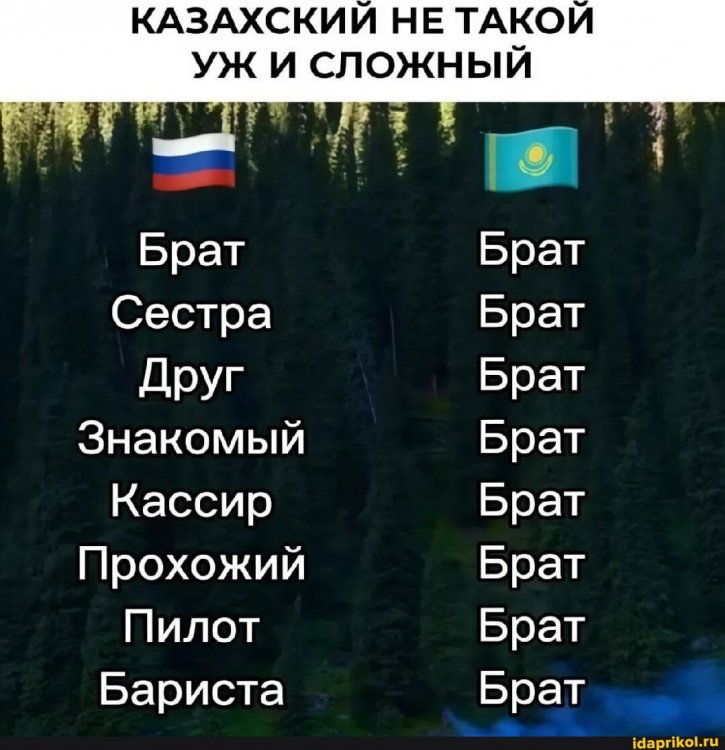 1a72895a2d3ddb2ffd1f1e4912b3ef88b410e501e093ec069b608fe02db80c40_1.jpg.jpg