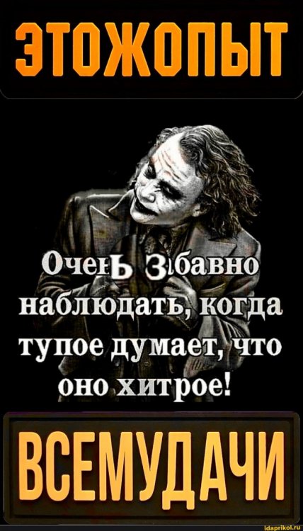 44d79d215096ad605c5c17e0b5757b82d4a6f46c8e8cf0d4e0055d9851215f66_1.jpg.jpg