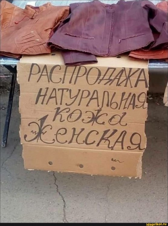 511a56dcdd4883e82a4a2290bd9e4d760362684e98cfe1ea776ae996f5dac44b_1.jpg.jpg