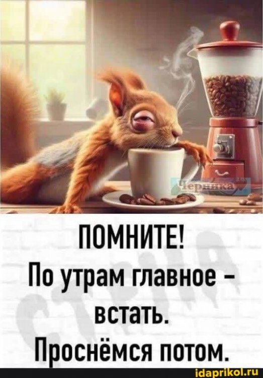 5c2531e6c039b5ecae51a6180fb6cd761fd2f8bd252f6278e4eb79c743fcc954_1.jpg.jpg