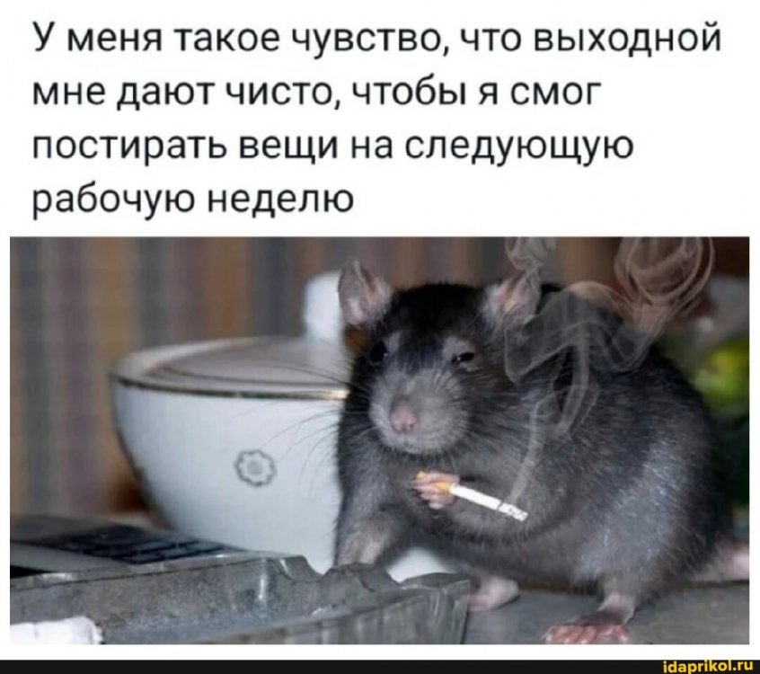 6b1297ae6be557a2b2930b98a6b873c52e75a21952c9b179b4a4880844560dbd_1.jpg.jpg
