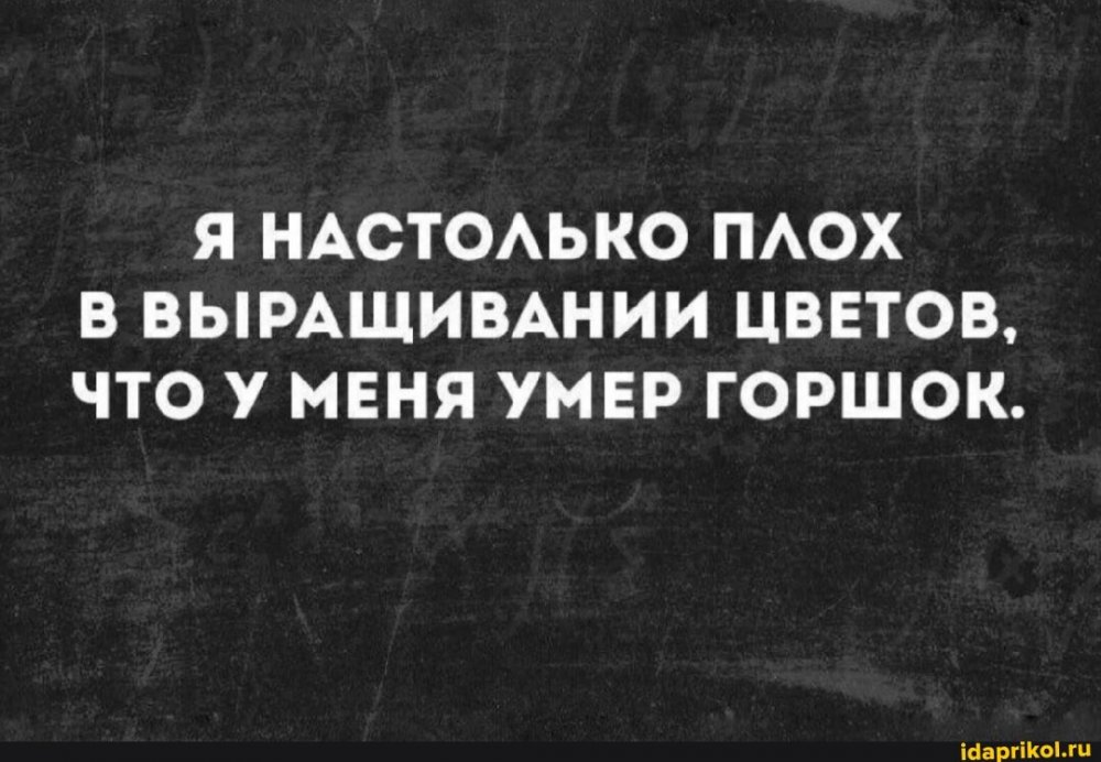 851ca72358bf7c6f8053702998fb4bd8efd9f77527cd10f848f2aeb68c7a76f3_1.jpg.jpg