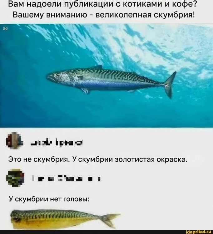 959119e2e70c5e40f2d7e310ba8877d1b96c380187068532a9e8855f33dba174_1.jpg.jpg