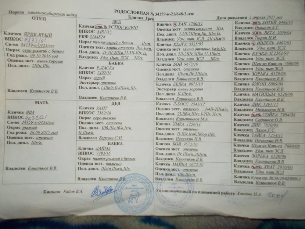 DSCN3963.JPG