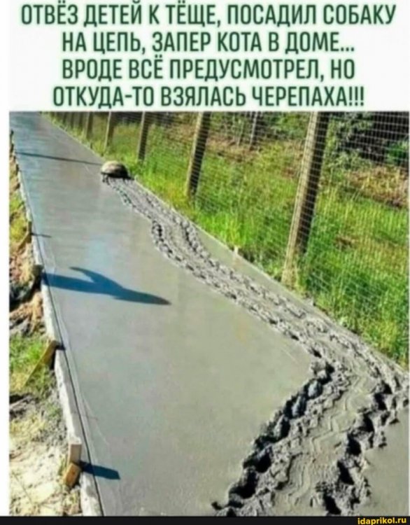 b1f2e8c6c479bc7447fa1433ee6549d62d07c4cb1bd571dd9f30923ea541f98b_1.jpg.jpg