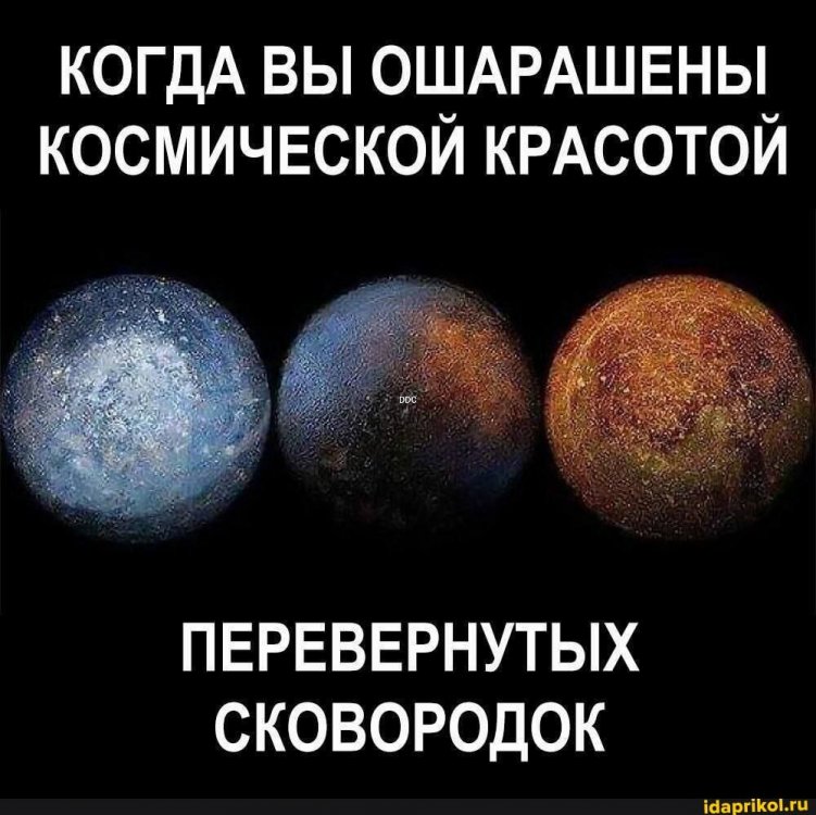 bf503420b5924406953809330f17a61639409cb480945927d7584b25343ff631_1.jpg.jpg