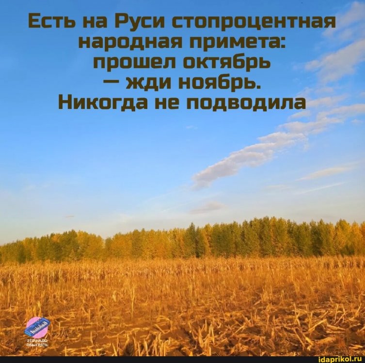 c047e2212d38a92fa67db9ab65bfc10204b1828690cc3511dbd160fded611fa2_1.jpg.jpg