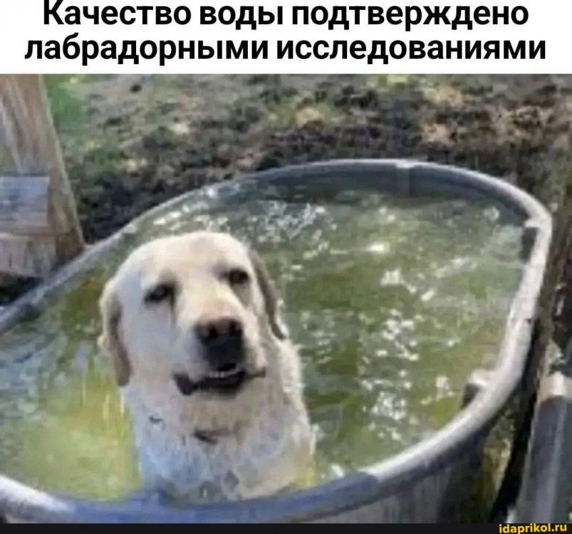 c911d549216250b5759767da3ca827c76b807a7f899eca8afefe03d2e56dec2f_1.jpg.jpg