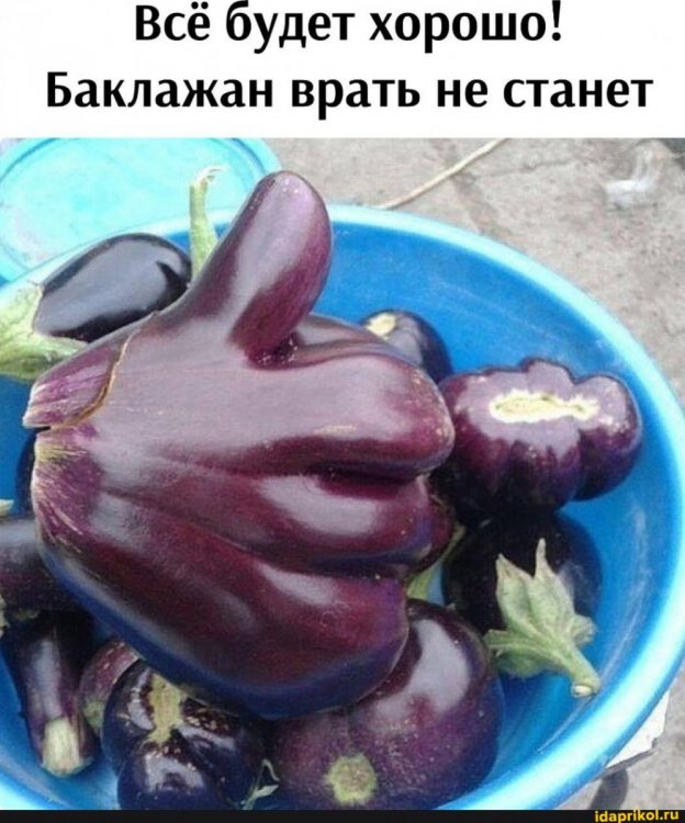 daab5d23eec6441a3f84dad88b71c8d482b402e70aea9dc5280cb2e472798d15_1.jpg.jpg
